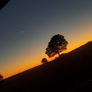 Meet your Posher, Natasha